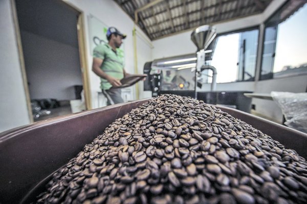 Café y gas natural: la ruta que los llevó a ser los commodities con más alzas en 2021