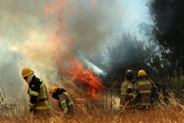 Incendios forestales en el sur de Chile.