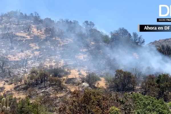 <p>Ahora en DF | Incendios forestales afectan a más de 23 mil hectáreas hasta este lunes</p>
