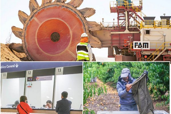 Buscador permite conocer empresas creadas en últimos 10 años
