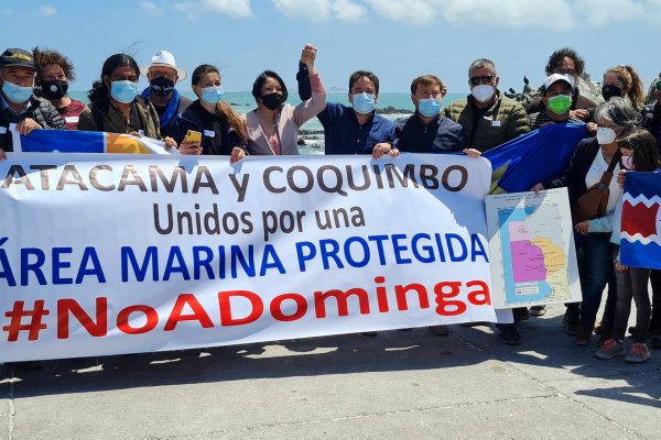 Gobernadores de Atacama y Coquimbo piden al Gobierno dejar sin efecto votación que dejó a La Higuera como área protegida