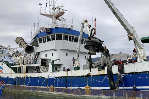 Sernapesca informa que 9 de 13 centros de cultivo de salmón en Aysén activaron planes de contingencia por bloom de algas