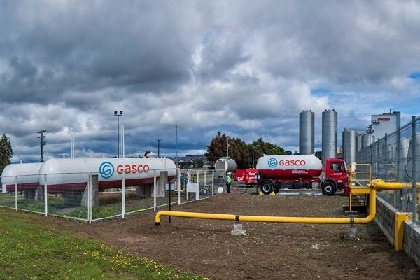<p>Gasco responde a Rincón y asegura que no tiene "ningún tipo de coordinación con otras empresas y no se ha coludido"</p>