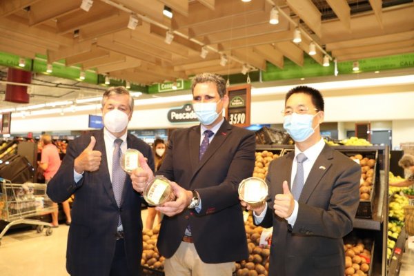 Con alrededor de 393 toneladas importadas, el kiwi chino hace su debut en Chile