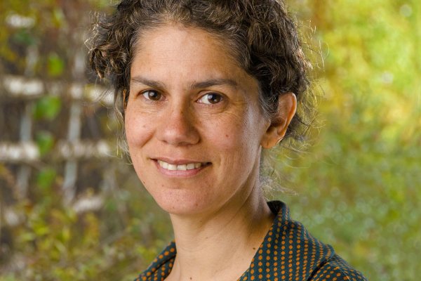 Maisa Rojas, experta en cambio climático, será la próxima ministra del Medio Ambiente