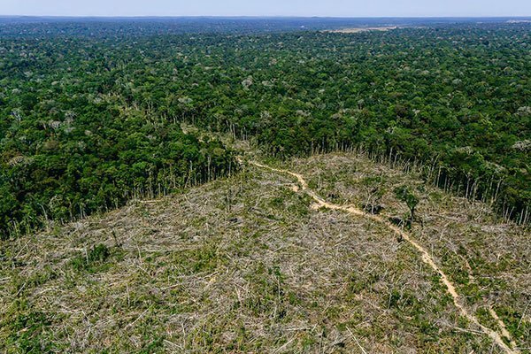 Brasil gastó menos de la mitad de su presupuesto de aplicación de la normativa medioambiental para 2021