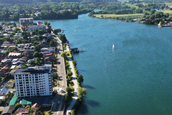 Inmobiliarias en jaque: Tercer Tribunal Ambiental suspende cuatro proyectos en Valdivia por daño ambiental