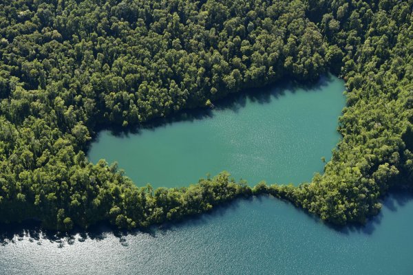 Medio Ambiente busca hacer eficiente el proceso de denuncias a actividades que afectan a humedales