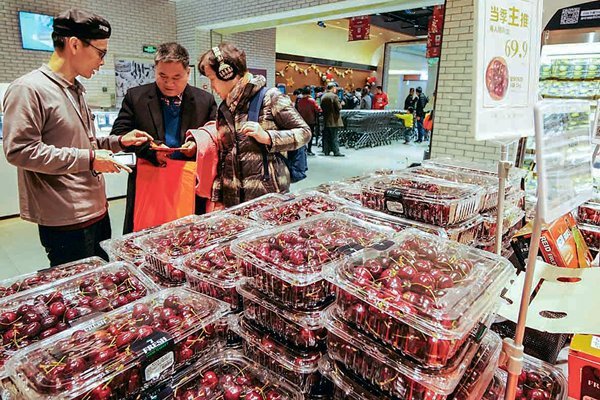 <p>Exportadores de cerezas ajustan estrategia en China para impulsar ventas tras periodo de Año Nuevo</p>