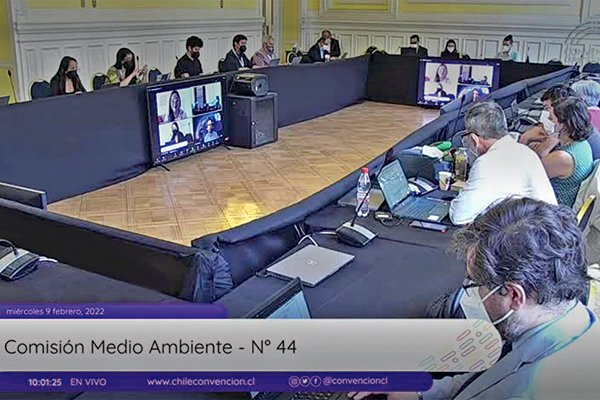 Convención: aprueban fondo de justicia ambiental y “cualquier persona” podrá exigir reparar el daño