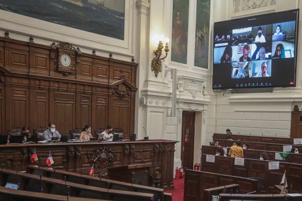 Convención: Respaldan norma que consagra derecho de propiedad y libertad de emprender