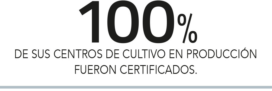 Imagen foto_00000003