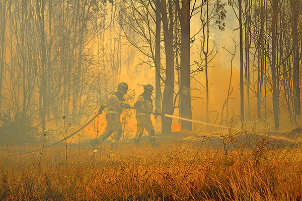 ONU identifica los incendios forestales como una de las tres amenazas ambientales “inminentes”