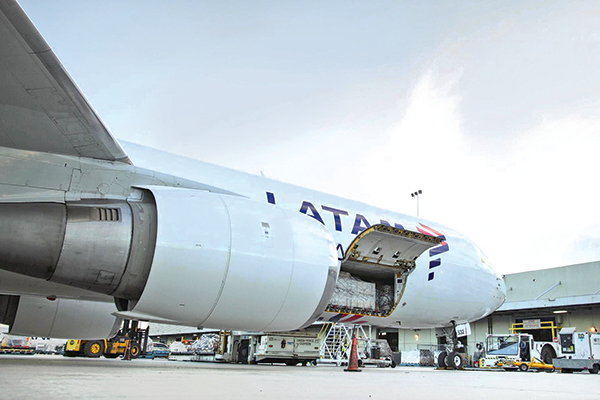 <p>Latam Cargo adelanta incorporación de nuevos aviones y apunta a expandir su capacidad hasta en 50% a 2024</p>