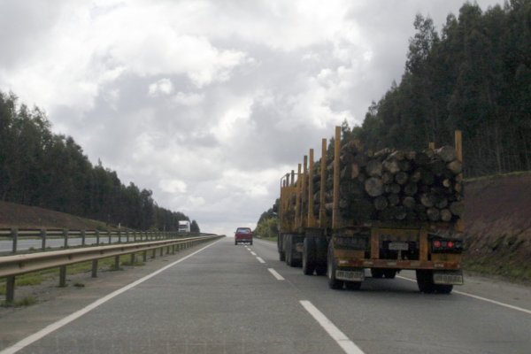 Crean sistema de alerta de olas de calor que busca prevenir la mortalidad y los incendios forestales