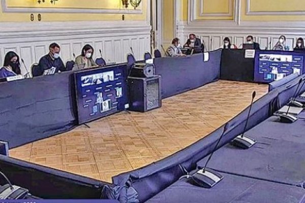 Convención: avanza la votación en particular de las normas en la comisión de Medio Ambiente