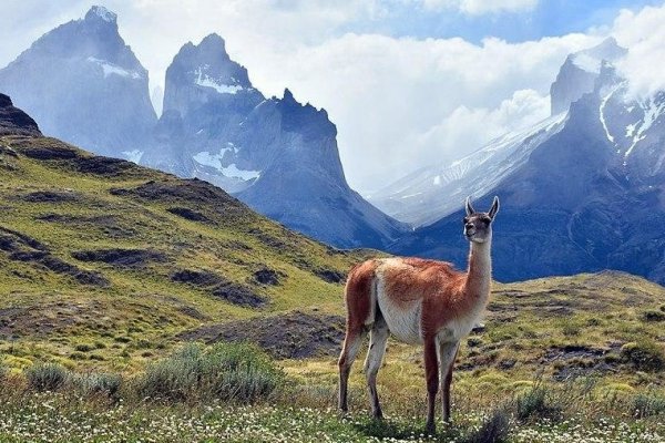 El marketing detrás de la imagen de Chile