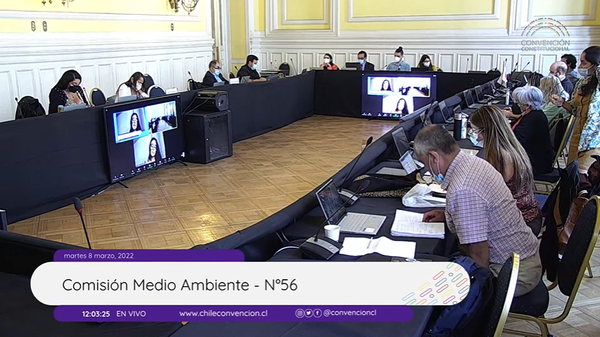 Convención: Comisión de Medio Ambiente finaliza votación en general de normas del Bloque B