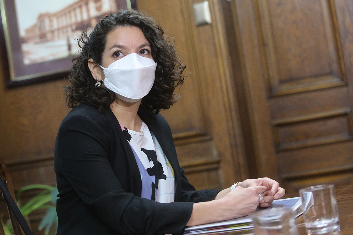 <p>Bienes Nacionales congela licitaciones para energía renovable</p>