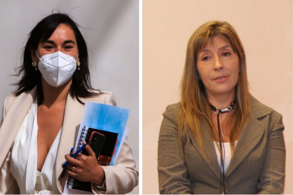 Carmen Gloria Daneri, la directora interina del SNM que habría entregado la información errada a la ministra Siches
