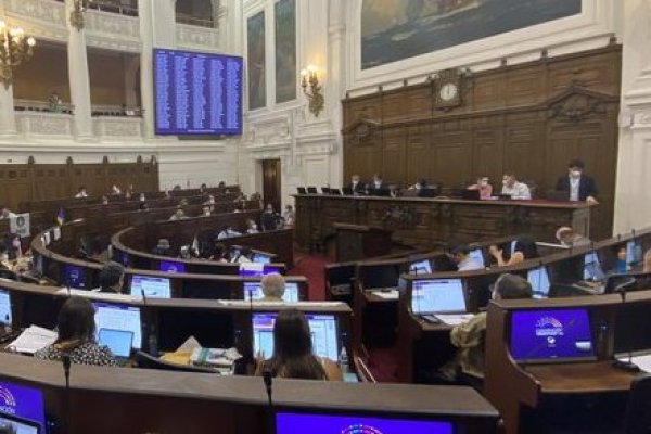Pleno de la Convención rechaza en general propuesta de recursos naturales