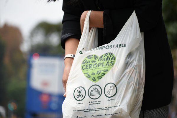 Bolsas compostables "made" in Chile llegan a Perú y México y alistan aterrizaje en Amazon