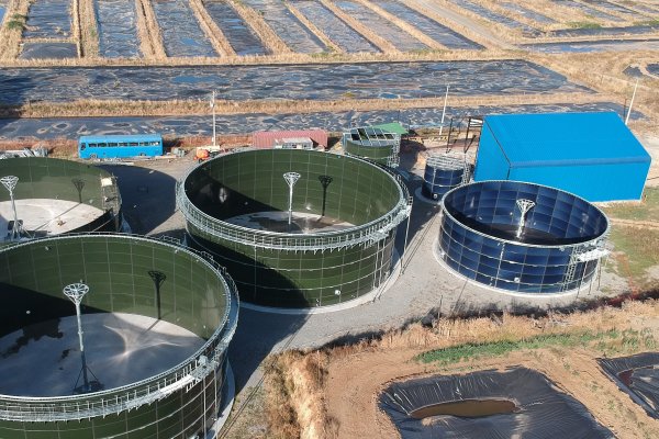 Ecoprial: La planta de residuos que preocupa a vecinos de Osorno y que busca extender operaciones por 10 años más