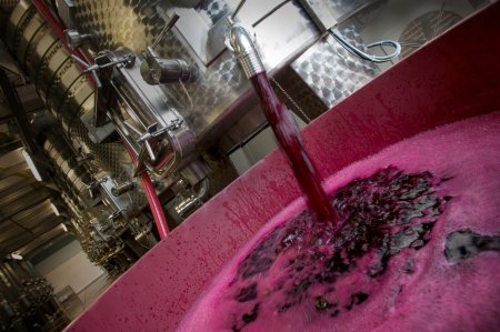 El mayor exportador de vinos de Argentina mira con preocupación sus mercados externos por falta de insumos