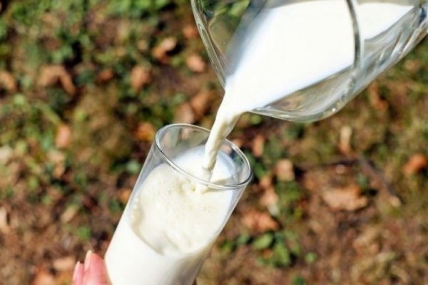 <p>Biden acude a Chile, entre otros países, para enfrentar los problemas de oferta de leche en la principal economía del mundo</p>