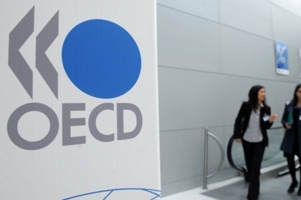 Jefe de la unidad para la región de la OCDE: presión fiscal a empresas en Chile "es relativamente alta al comparar con el promedio OCDE y reducida en personas”