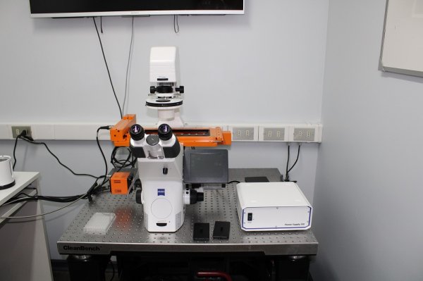 <p>El microscopio TissueFaxs i Plus, permitirá automatizar las funciones y obtener resultados con mayor rapidez.</p>