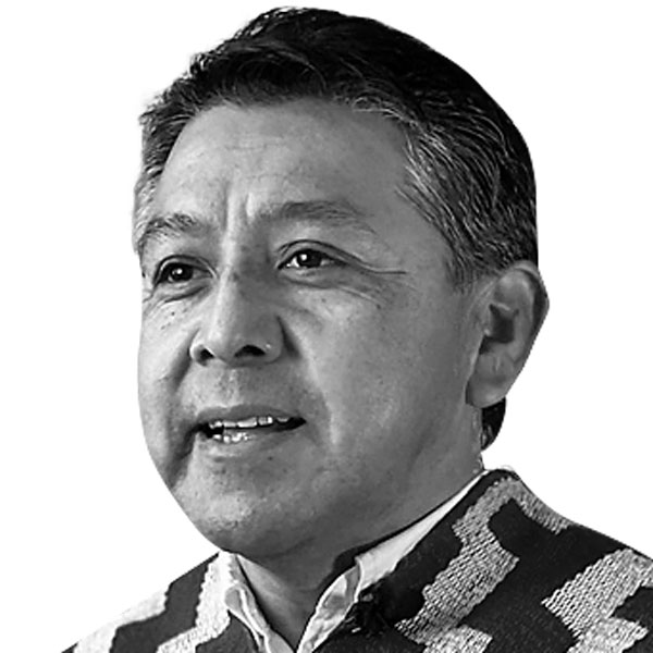Indigenismo o el fin del modelo económico