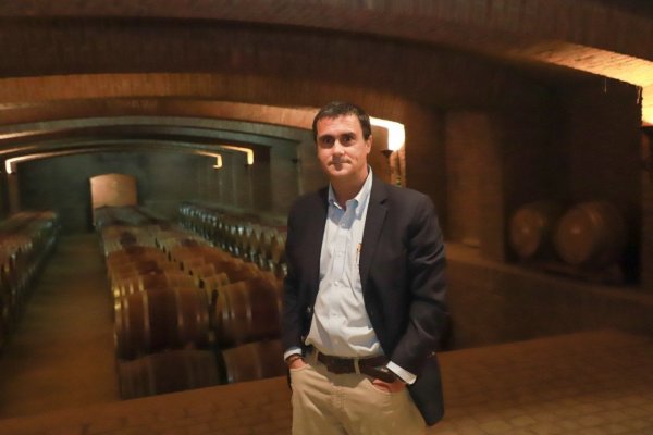<p>Andrés Izquierdo, gerente general de Viña Undurraga. Foto: Julio Castro</p>