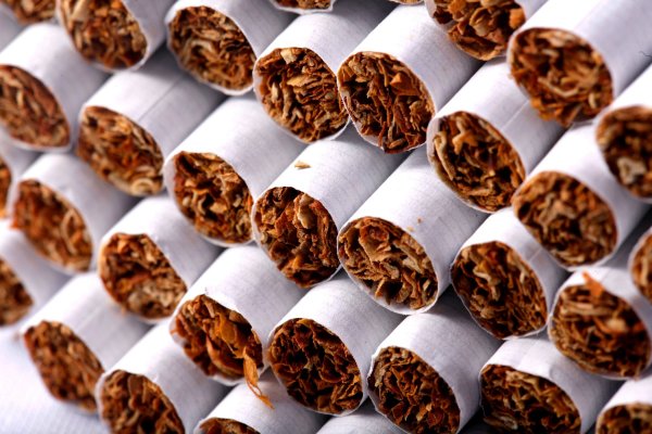 Organización Mundial de la Salud advierte el nocivo efecto del tabaco para el medio ambiente