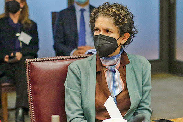 Comité de Ministros rechaza iniciativa de gas y un vertedero en su primera sesión bajo el nuevo gobierno