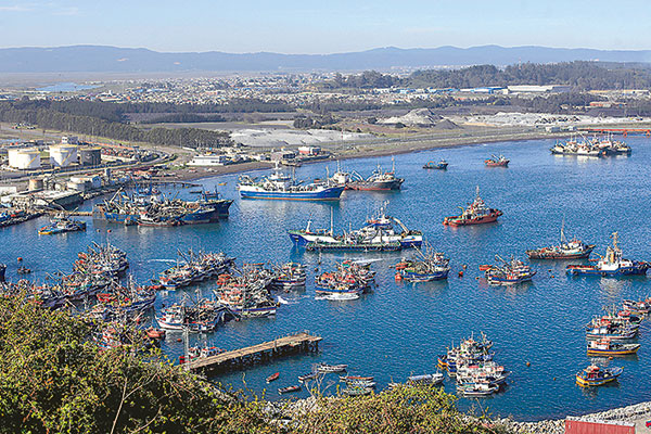 Nueva Ley de Pesca: empresas confían en que la normativa pueda devolver las certezas al sector