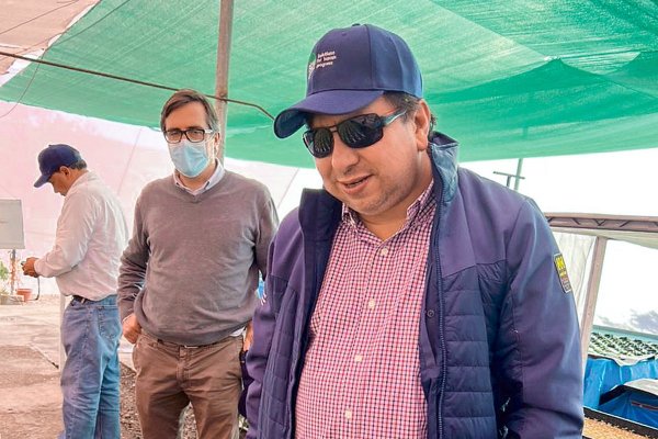 Los primeros pasos de Gonzalo Guerrero como nuevo presidente de SQM