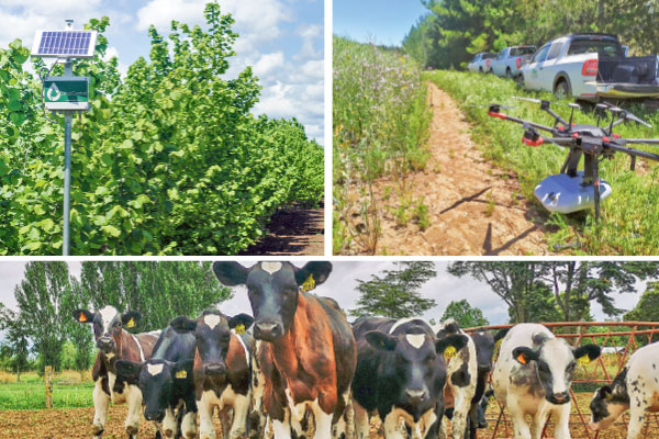 AgTech: las nuevas estrategias de tres compañías locales de agrotecnología