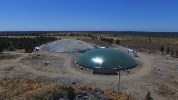 Lipigas comenzará a producir combustible renovable y carbono neutral para camiones de larga distancia