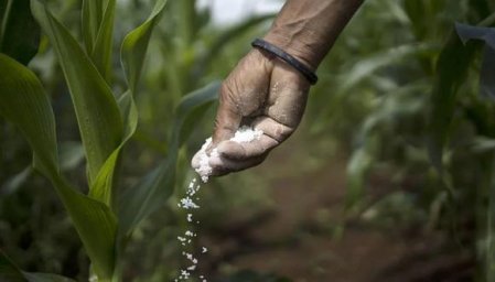Campaña agrícola en Perú en riesgo de ser mermada por falta de fertilizantes