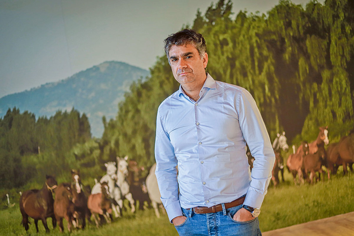 <p>La nueva vida de Carlos Lavín: "Me interesa integrar a la comunidad empresarial chilena al mundo iberoamericano"</p>
