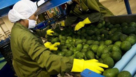 Empresarios peruanos ponen sus ojos en Uruguay y Ecuador para ampliar abastecimiento