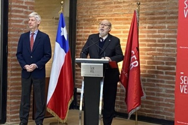 <p>Ahora en DF | Servel anuncia inicio de propaganda electoral del plebiscito para este miércoles</p>
