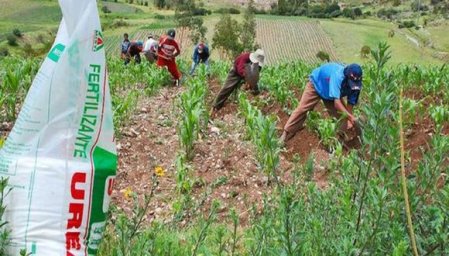 Perú lanzará pronto nueva compra de fertilizantes