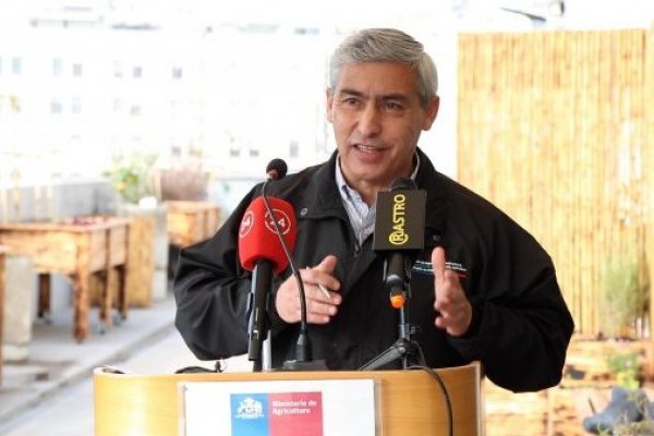 <p>Subsecretario de Agricultura, José Guajardo Reyes.</p>
