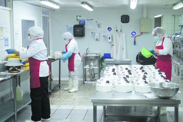 Emprendedores piden siete cambios a la reforma, como mantener tasas de impuestos personales y gravamen de 10% a utilidades de las PYME