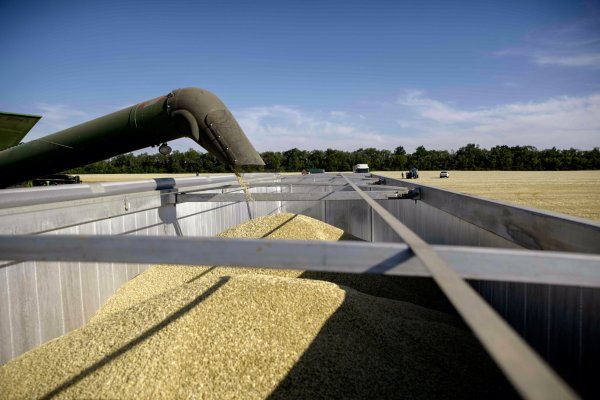 Ucrania y Rusia llegan a acuerdo para desbloquear las exportaciones de cereales paralizadas por la guerra