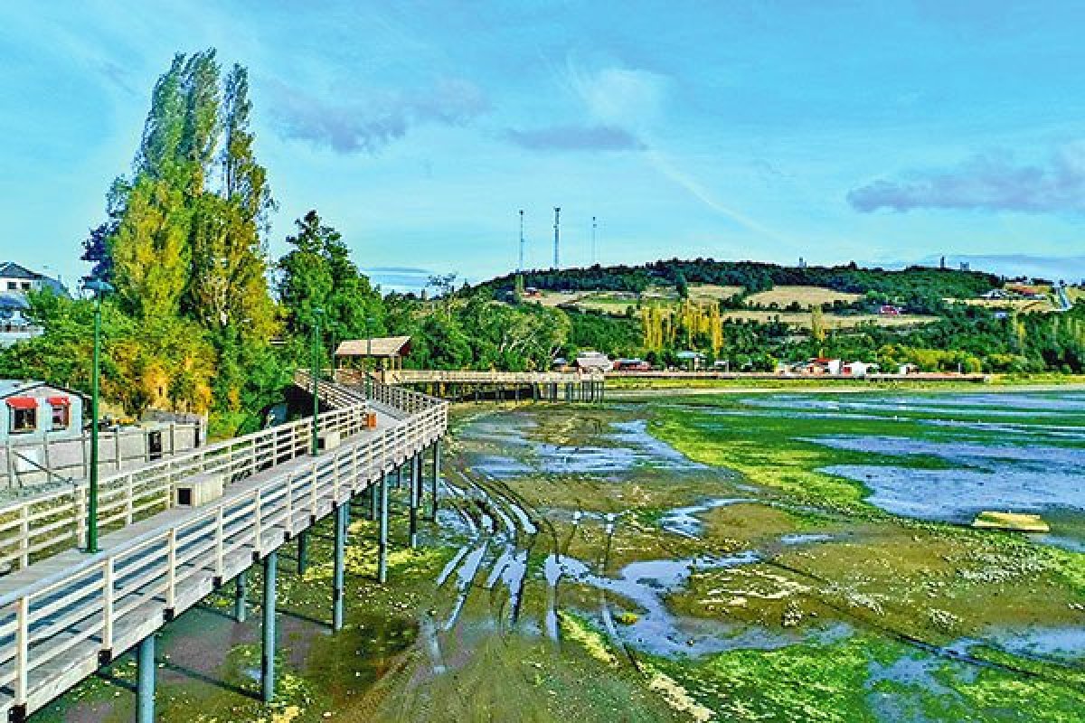 <p>Medio Ambiente declara tres humedales como santuarios de la naturaleza en Los Lagos y lista asciende a 90 áreas protegidas</p>