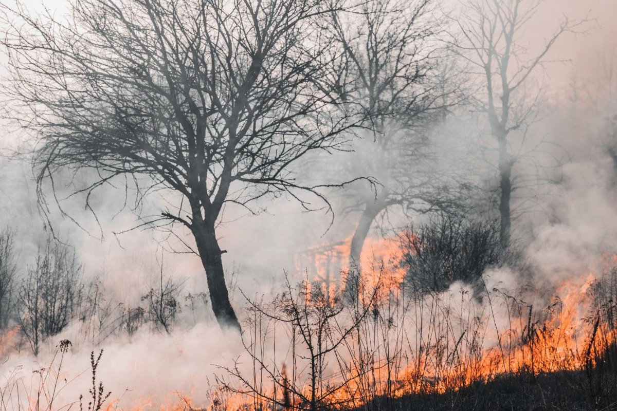 <p>Cambio climático causó alrededor de US$ 65 mil millones en pérdidas el primer semestre</p>
