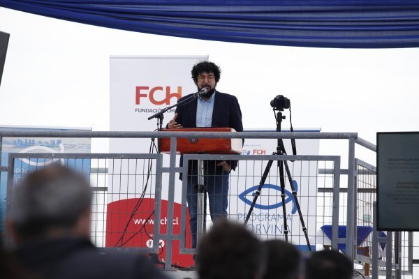 Fundación Chile busca impulsar la creación de una industria de la corvina modelo "salmón 2.0" en la zona norte